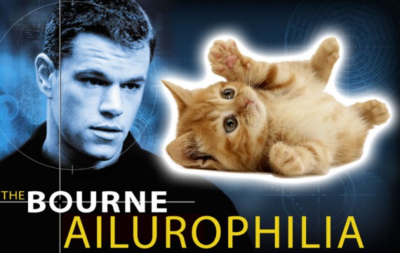 Jason Bourne stares wistfully at an adorable kitten.