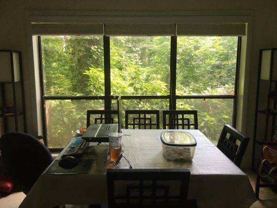 A dining room with a table at the center and three tall windows beyond it looking out into a green forest